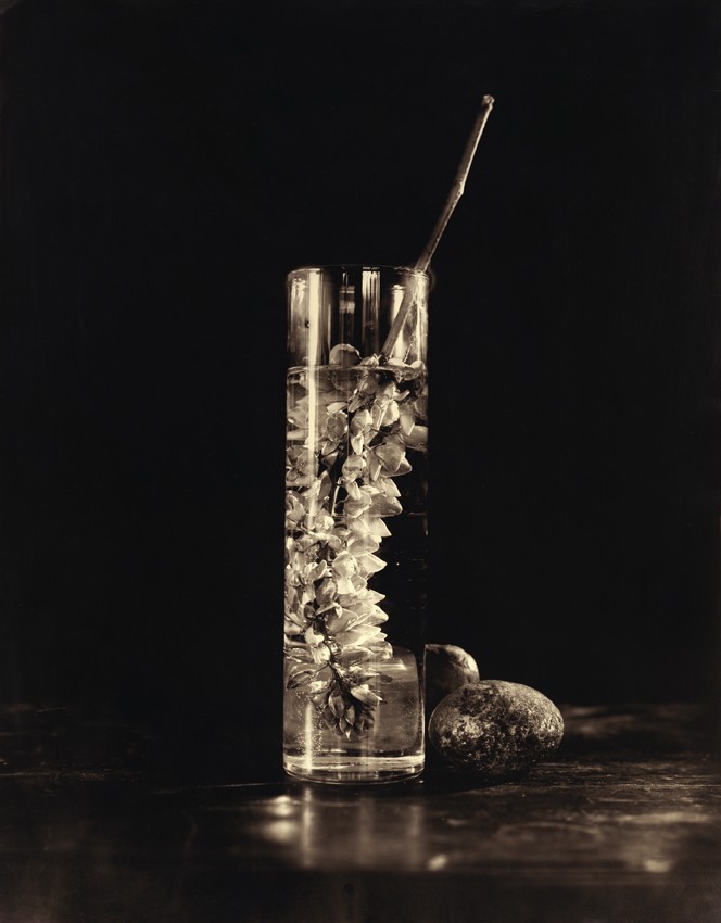 Eric Antoine photo Drowning Flowers Drowning Flowers IV 2019