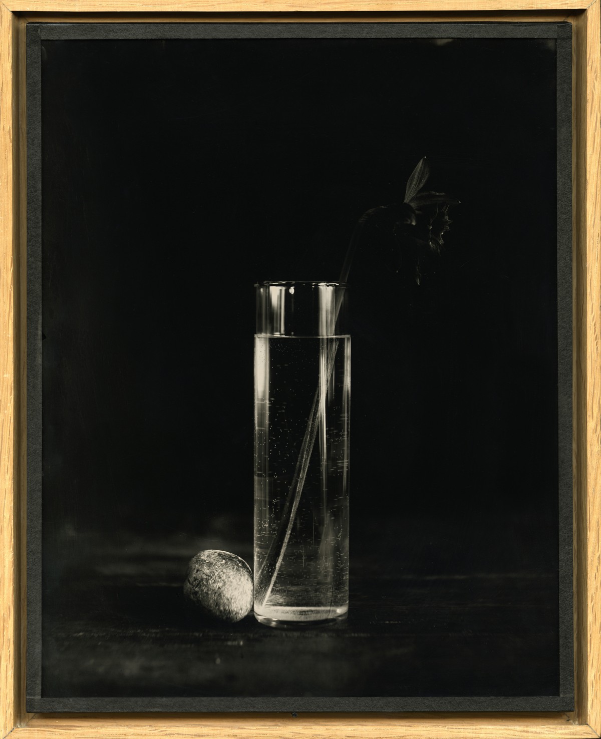 Eric Antoine photo Drowning Flowers Drowning Flowers XII Recto 2021