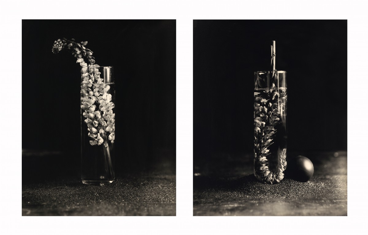 Éric Antoine photo Drowning Flowers Drowning Flowers Recto Verso V 2023