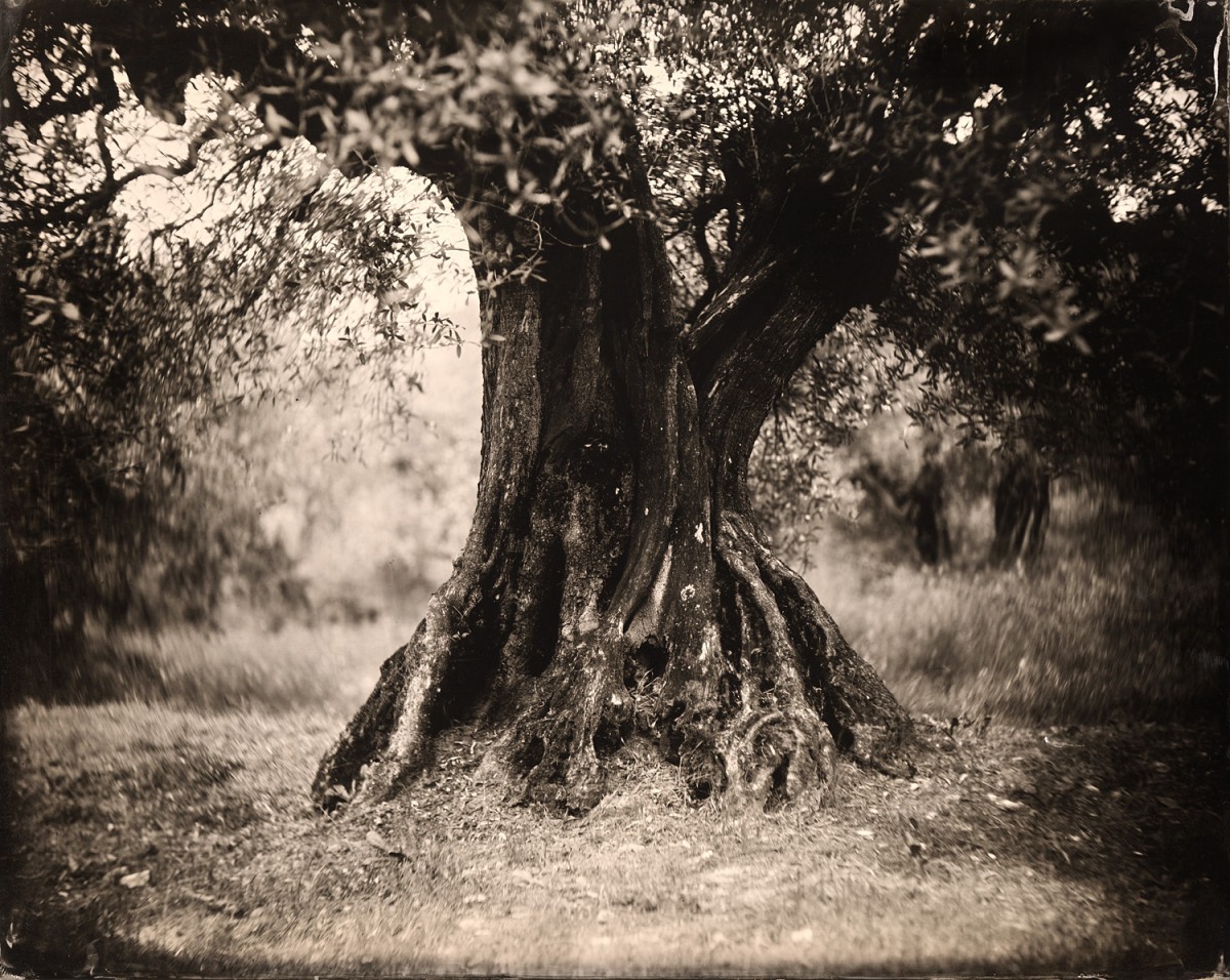 Eric Antoine photo Oliviers Olivier XVI 2019