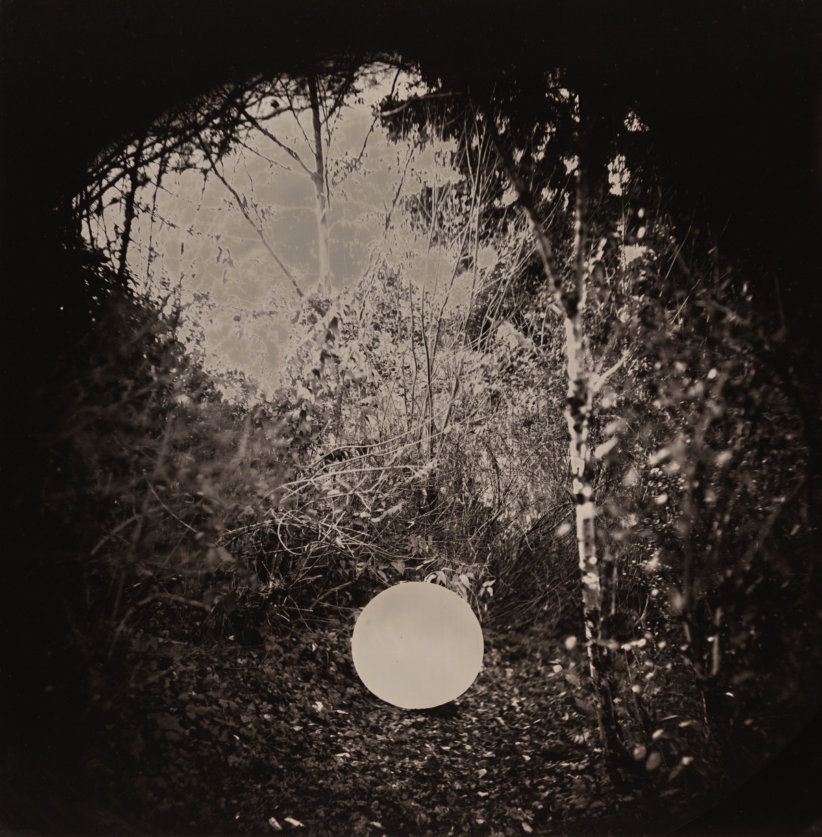 Eric Antoine photo Useful Lies  